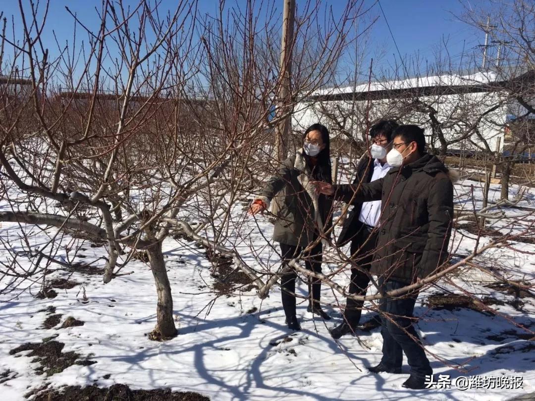 潍坊临朐:服务到地头农户恣心头