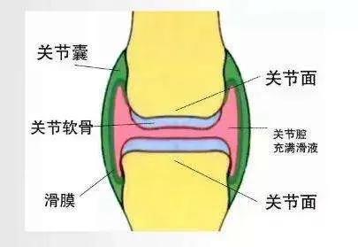 骨科专家说久坐不动的危害,久坐对骨科危害