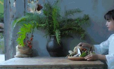 11年前自称“处女”征婚爆红全网，11年后“被死亡”很凄凉