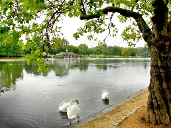 伦敦六月小说,六月的伦敦什么季节