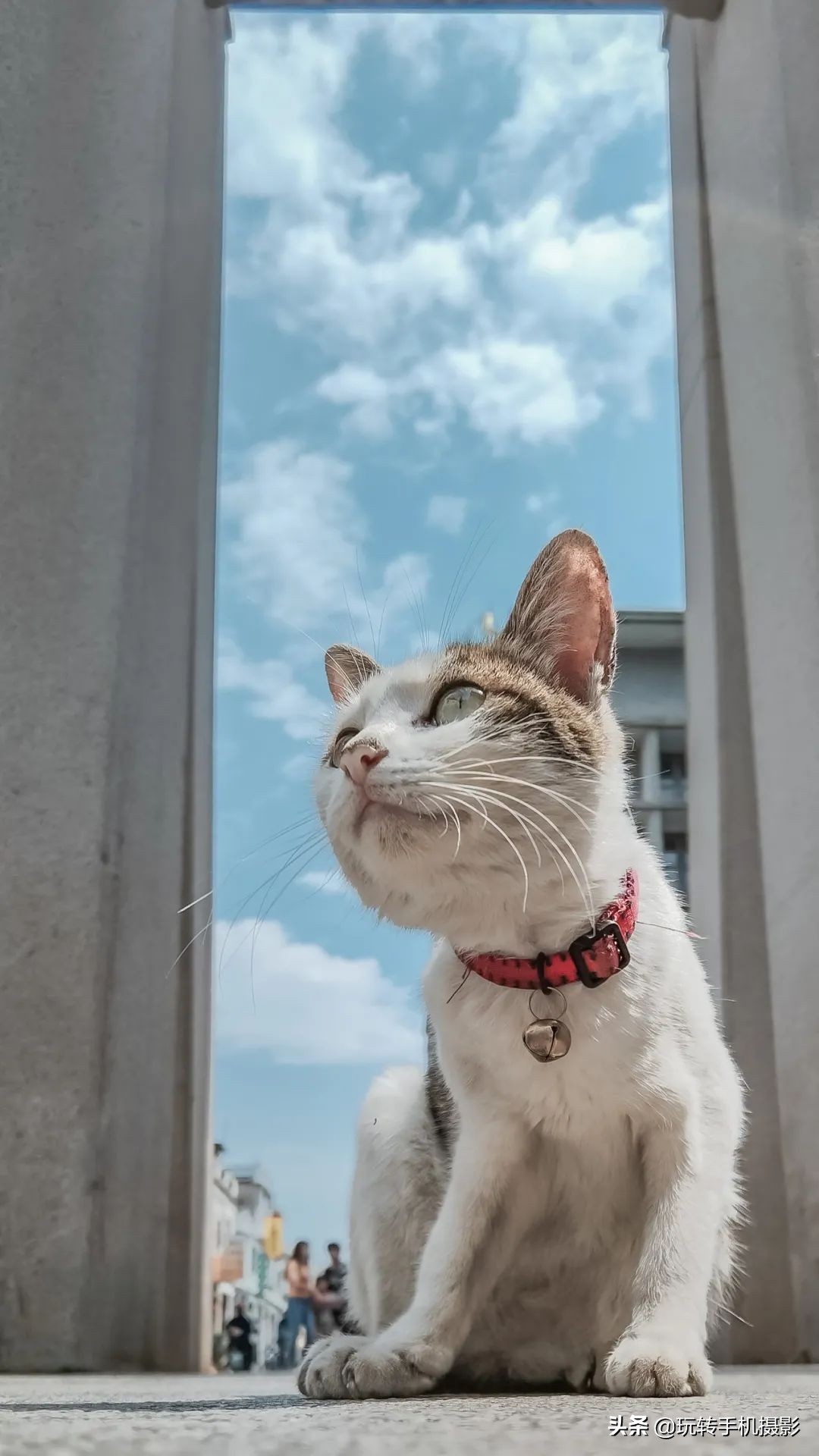 华为p40现在拍照怎么样,华为p40拍照不清晰怎么办