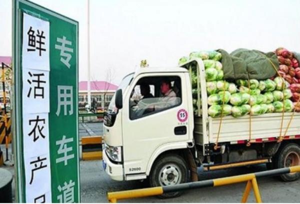 皮卡走绿通需要拉多少才可以,皮卡能拉绿通免费要什么手续