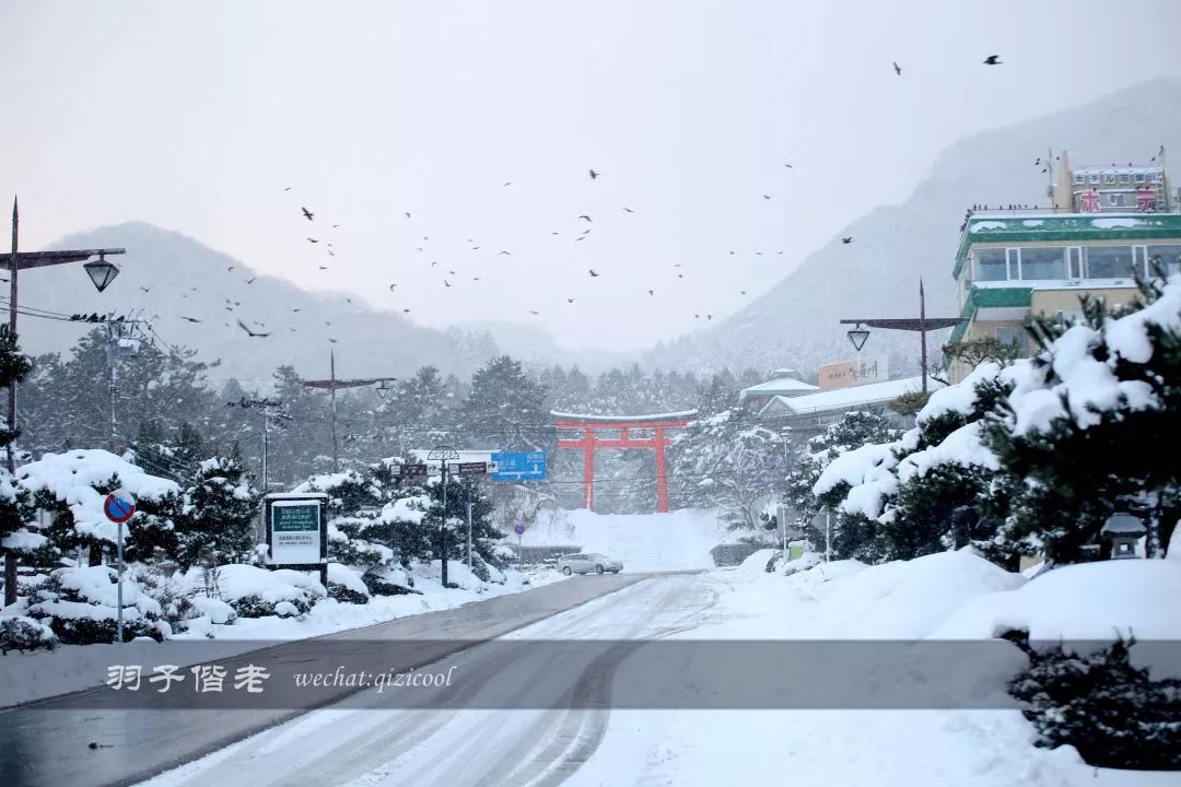 日本10天自由行费用北海道,东京北海道5日自由行攻略