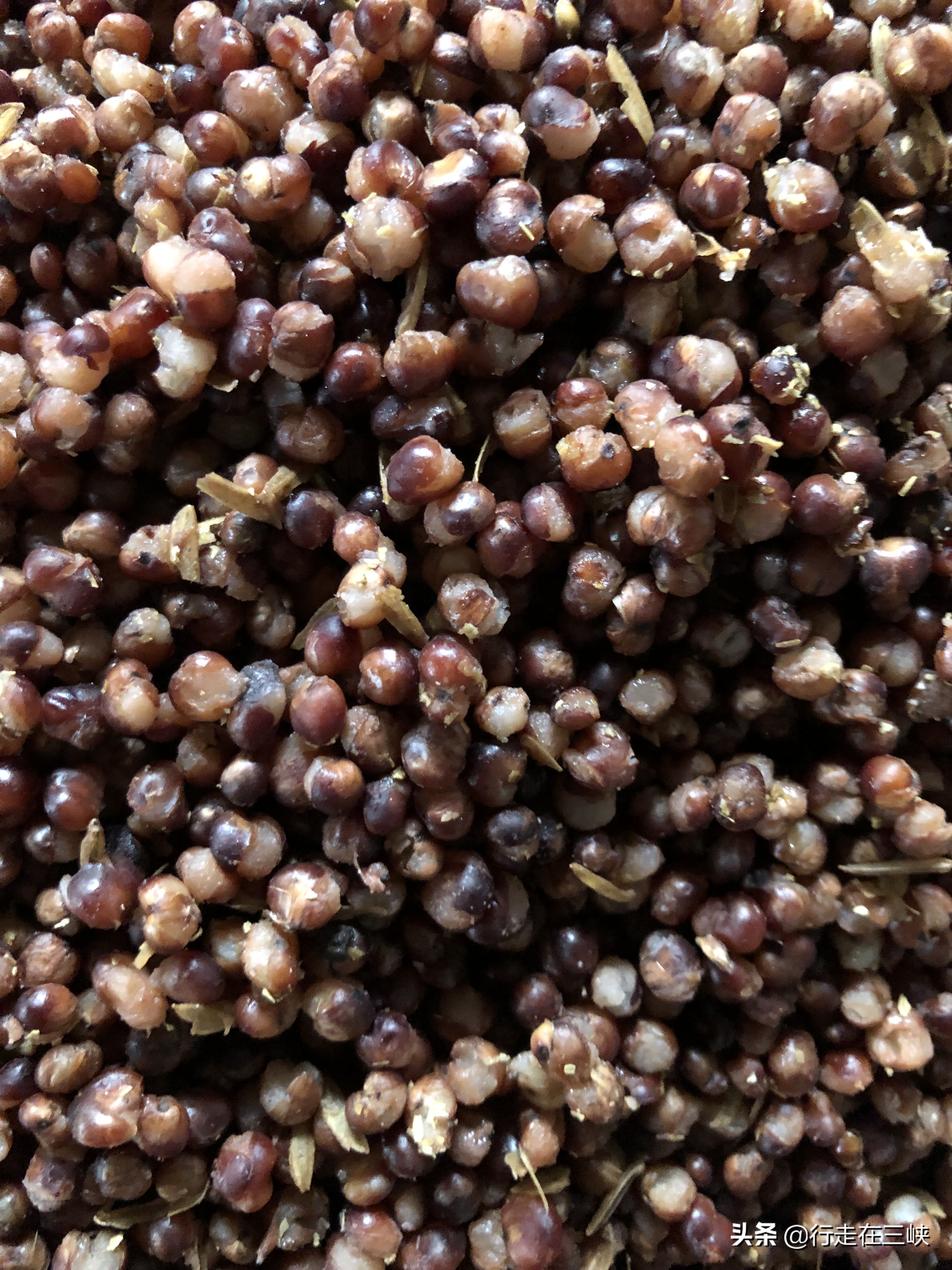 白酒酿出来就能喝吗,白酒刚酿出来就变浑是什么原因