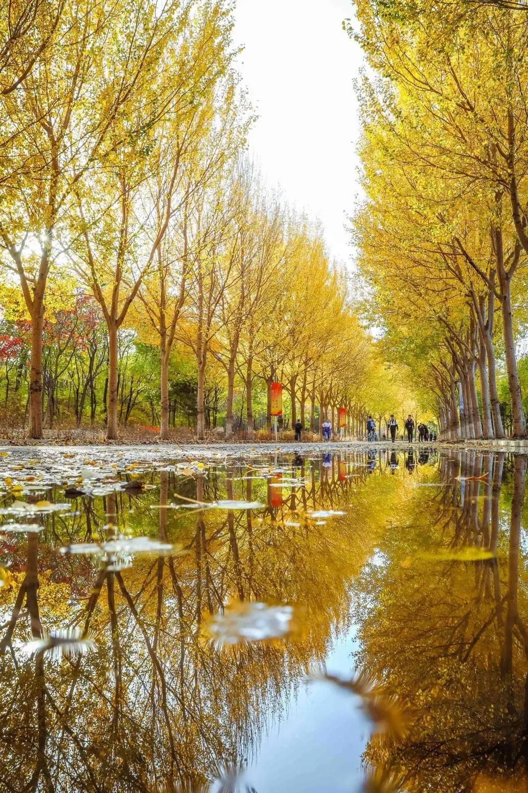 沈阳航空航天大学在辽宁省的地位,辽宁省沈阳航空航天大学在哪个区