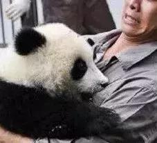 男性的胸部到底有什么用？又不能喂奶！可以丰胸吗？