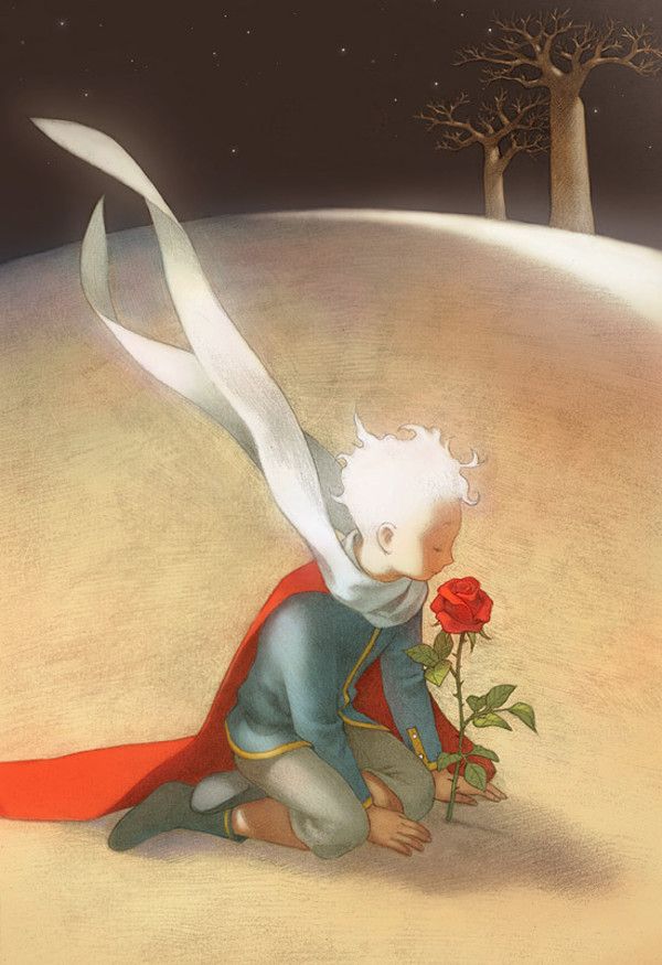 为什么要养猫因为孤独,为什么那么多人都喜欢养猫