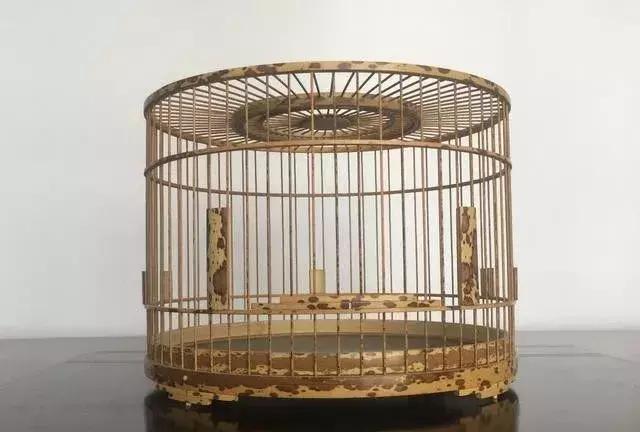 如何挑选鸟笼盖板和钩子,如何挑选金丝雀鸟笼