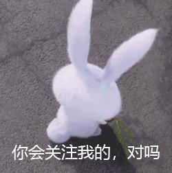 深圳市单位参保如何转为个人参保？含,补缴社保具体步骤