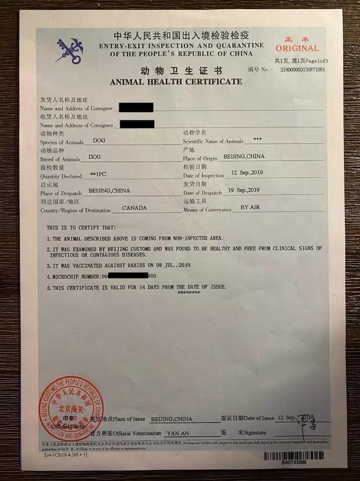 带狗狗移民,怎样带自家狗狗去国外