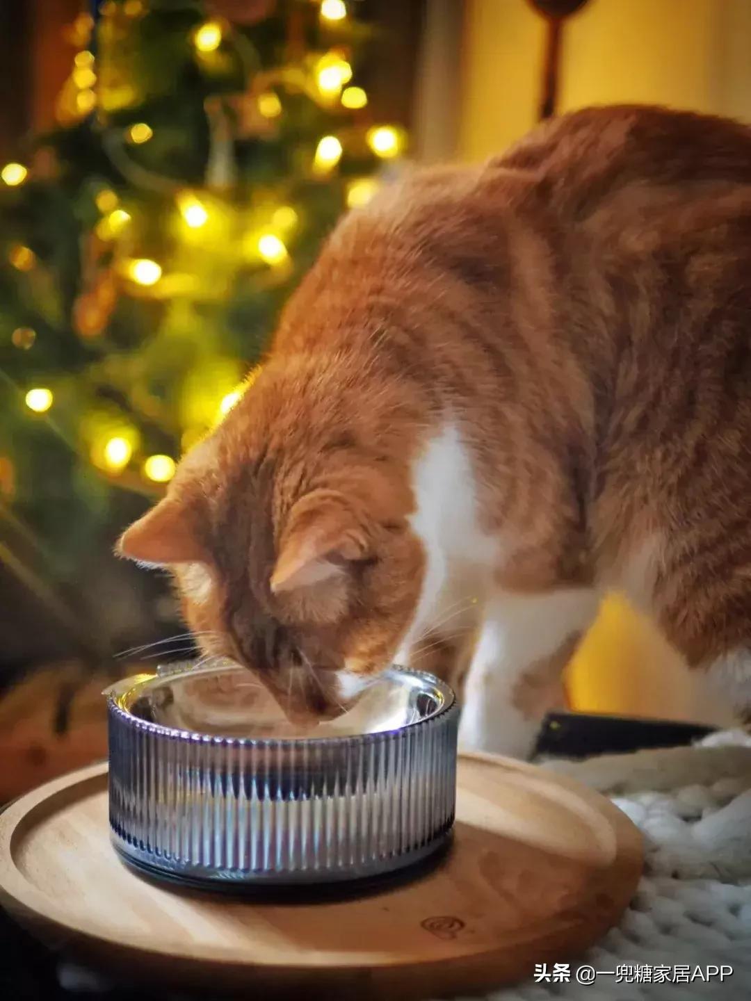种草几十元好物,种草ins风餐具
