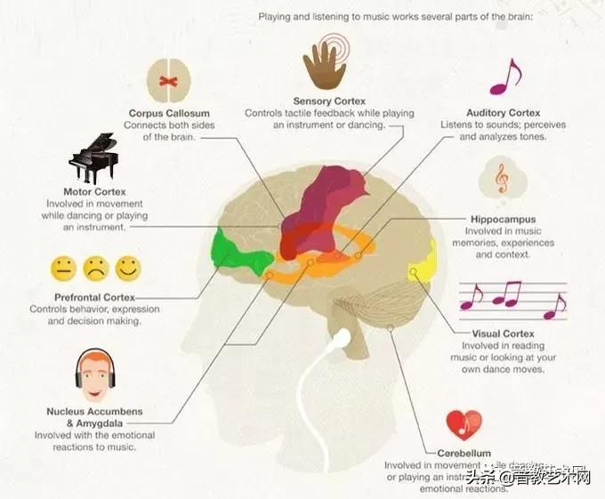 高校降分录取有童子功的特长生，从小学乐器的优势体现出来了