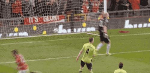 范佩西飞翔高清,范佩西上演飞翔的荷兰人