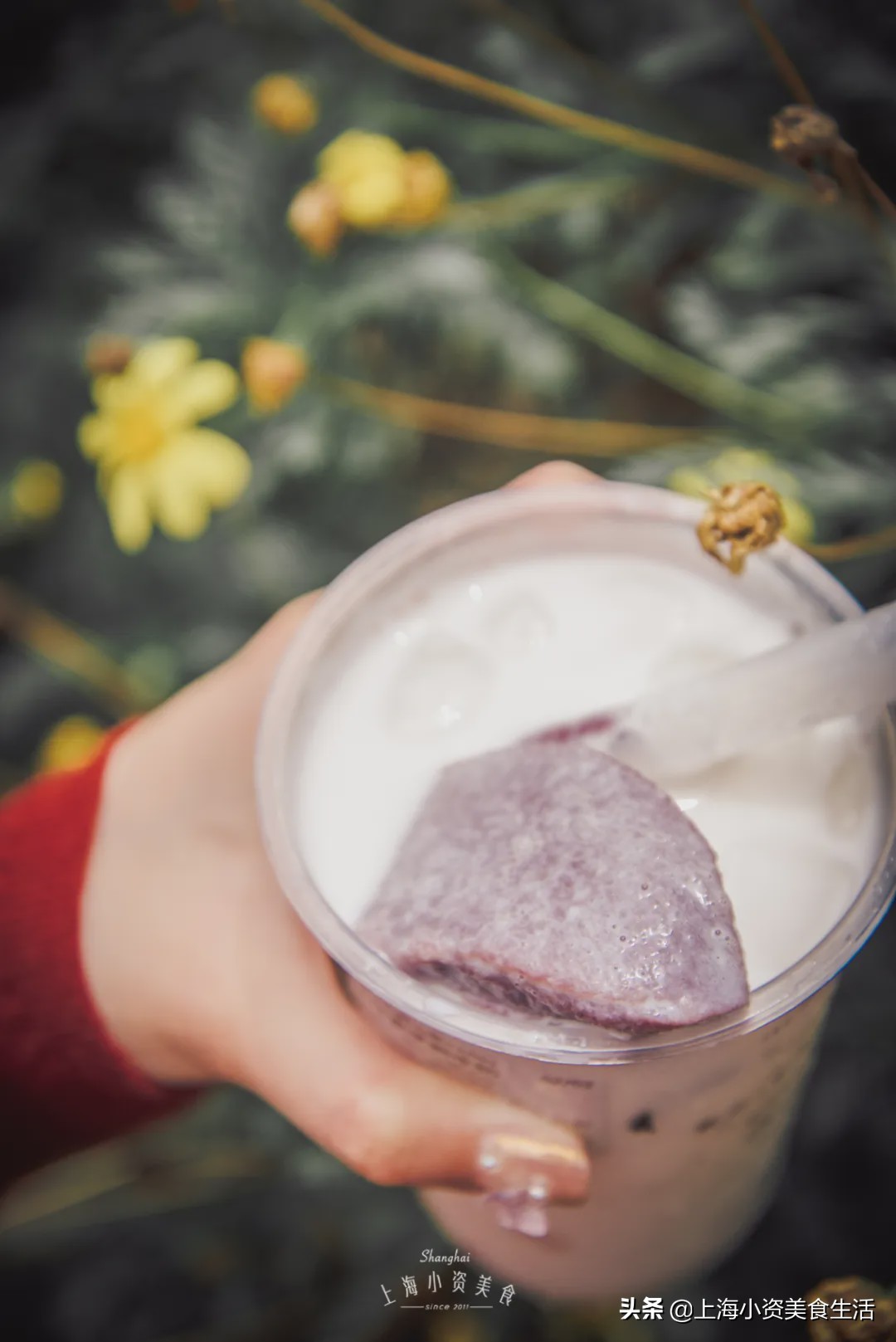 奶茶网红牛乳茶,奶茶各种网红饮品