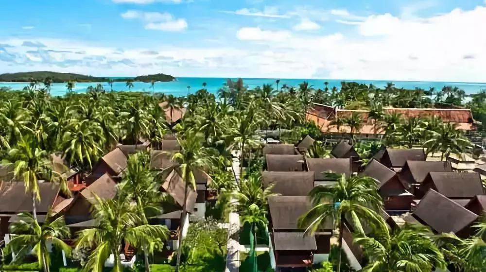 国际机场免税扫货攻略,购物攻略与技巧