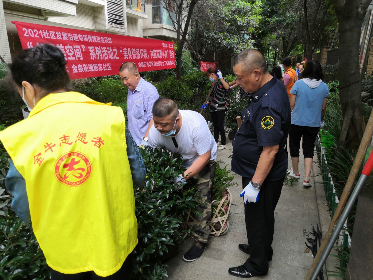 美化农家小院,美化小院