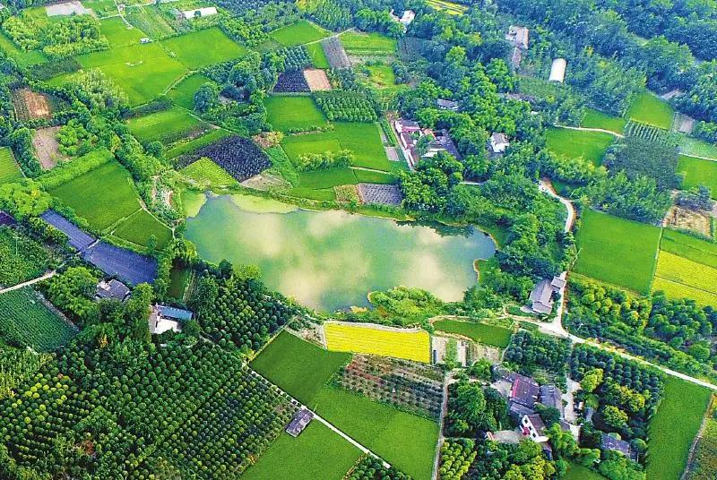 郫都区最好前三个镇排名榜,郫都区排行榜前十名