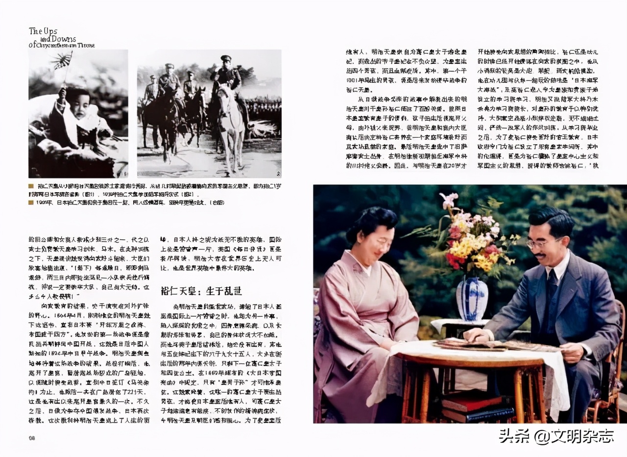 菊花王朝盛衰记,菊花王朝故事