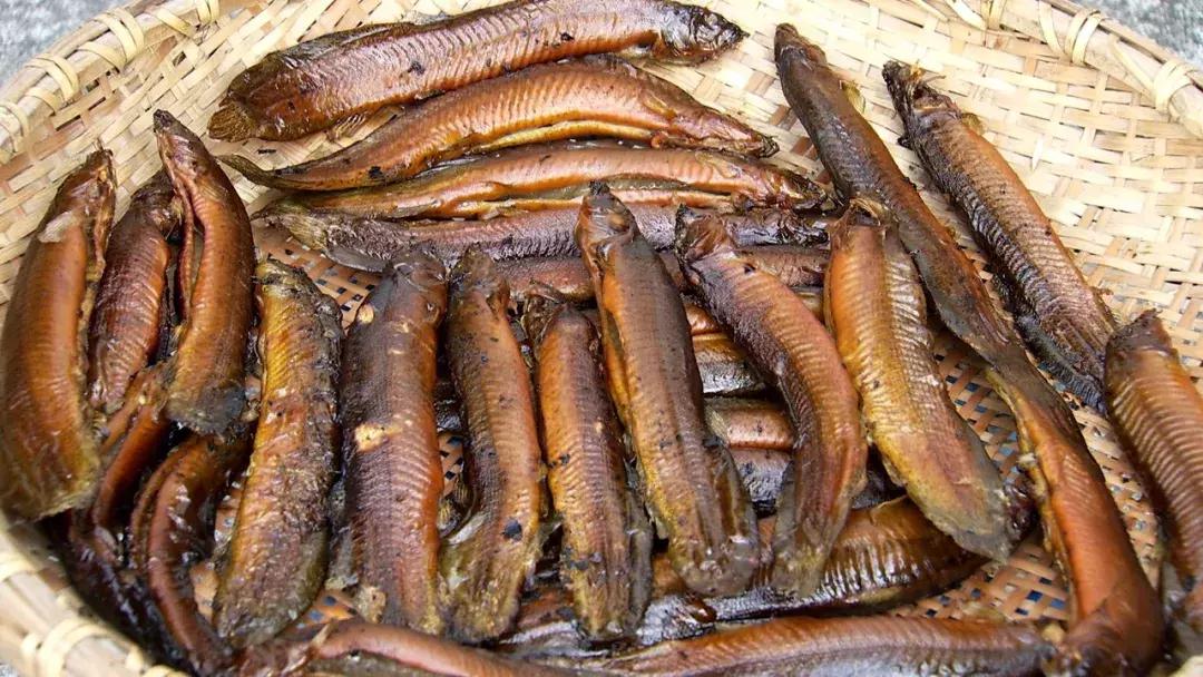 养泥鳅10万元赚40万,废旧坑塘养泥鳅一年能挣20万