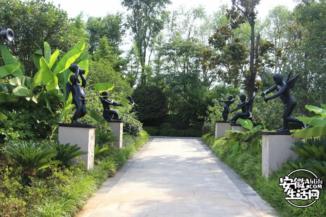 庐阳老城内藏着一处最大的综合性森林公园，人少景美，关键还免费