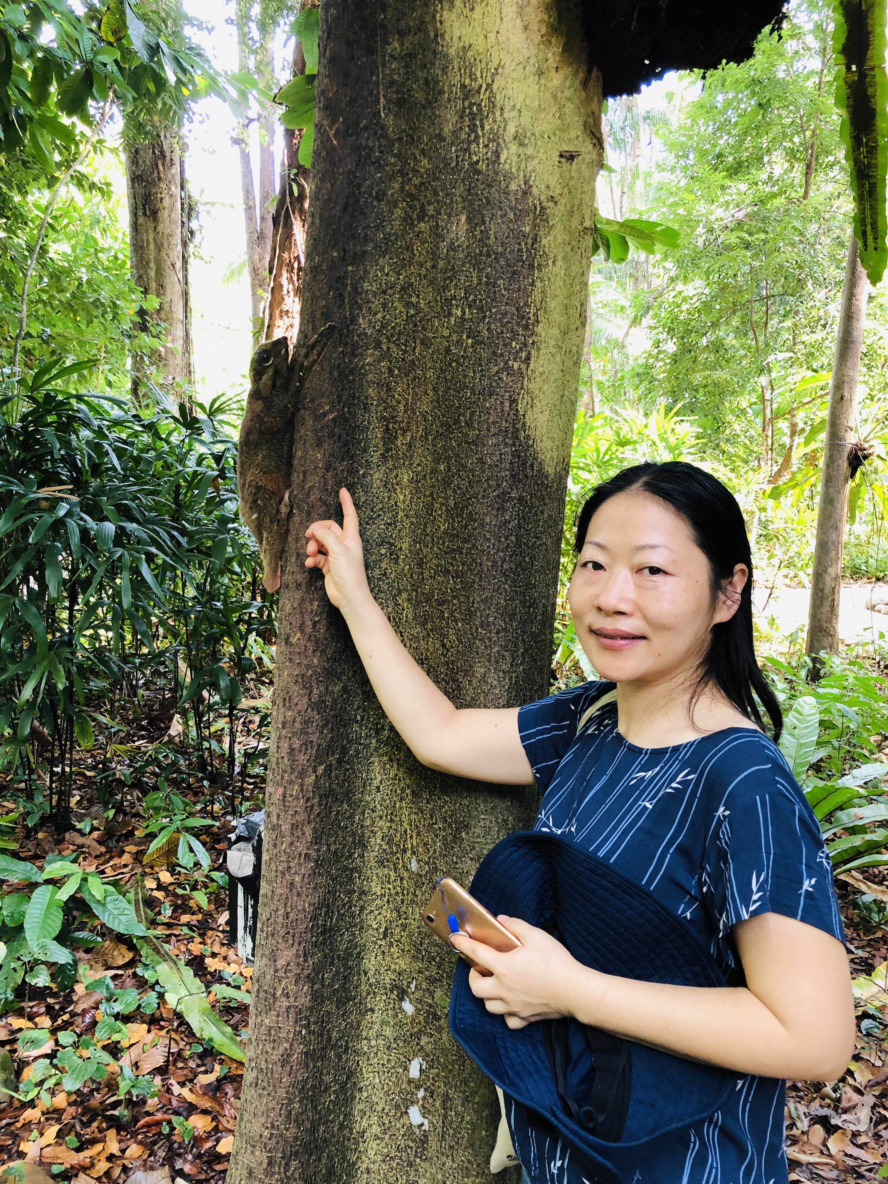 20190125-0206新加坡+马来西亚自助游