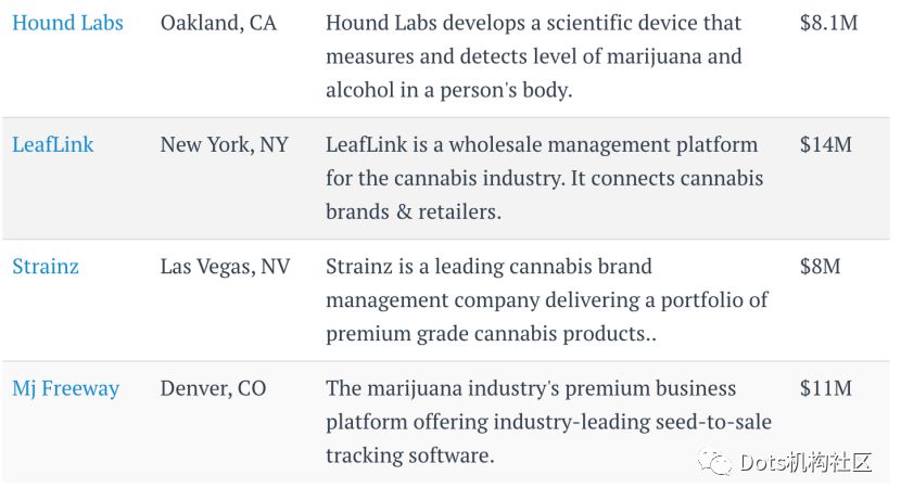 估值130亿科技巨头养大芯片独角兽,估值600亿美元独角兽