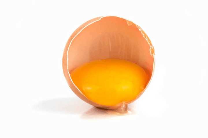 新手养猫去宠物店挑猫避雷,养猫需要哪些地方避雷