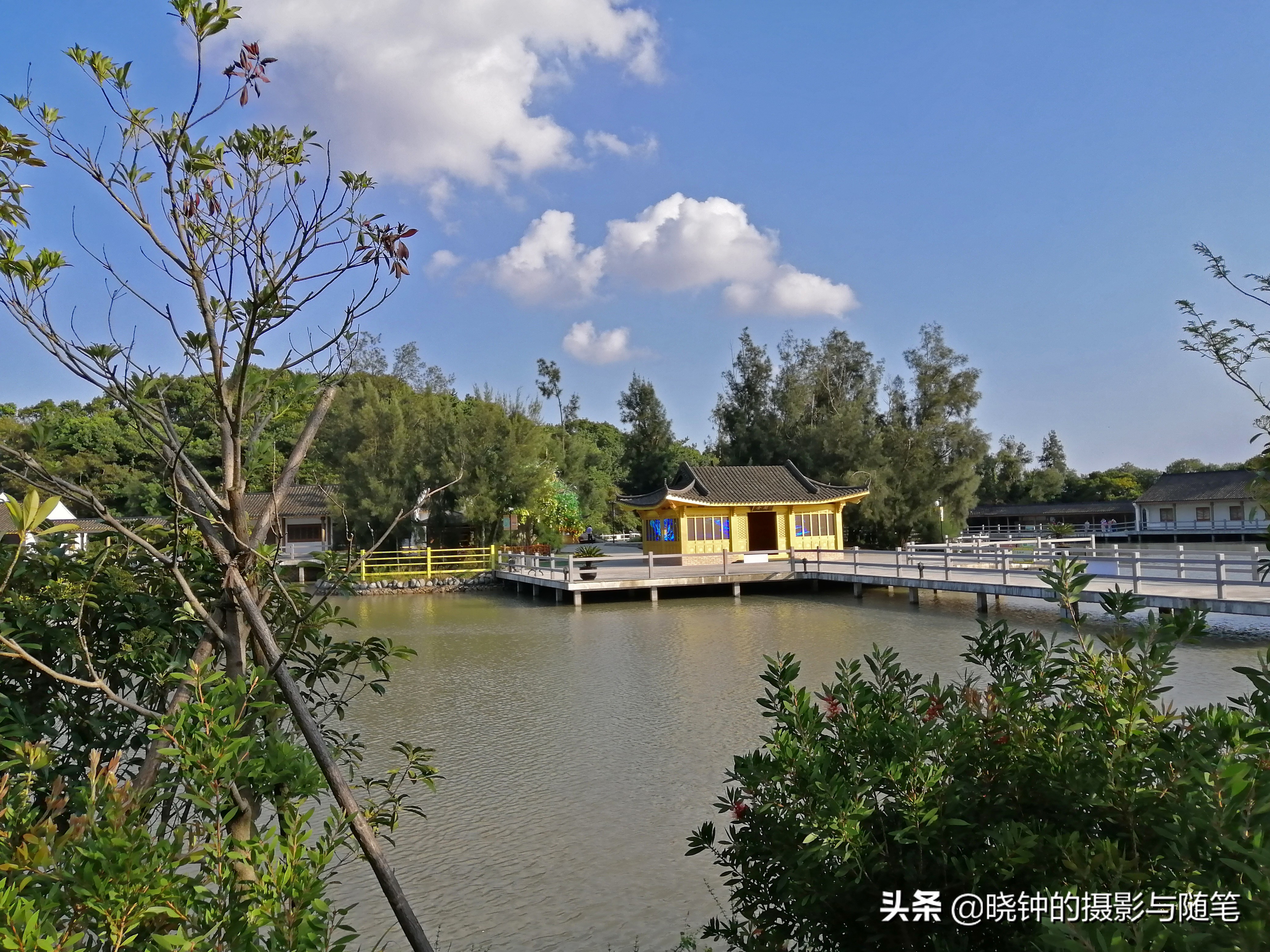 浙江舟山人的幸福生活：住景区、吃海鲜、忙锻炼、慢节奏