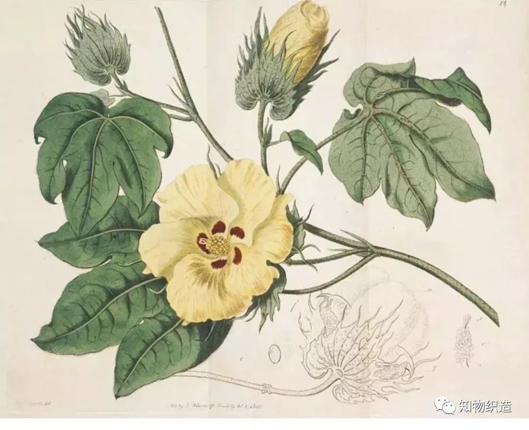 纯棉浴巾与全棉浴巾哪个好,浴巾超细纤维80%好还是90%的好