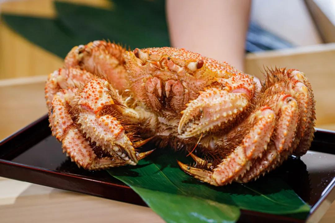 1680元的omakase,吃过性价比最高的omakase