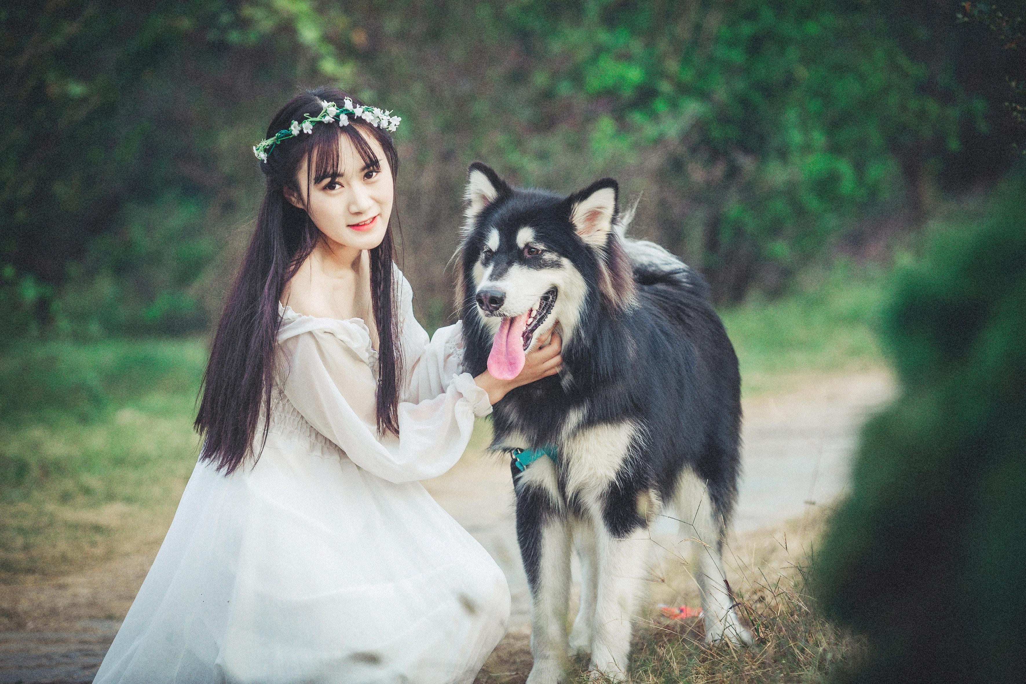 给阿拉斯加养个什么同伴比较好,给你100个养狗理由