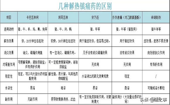 养猪退烧的方法,养猪发烧用什么药能退烧