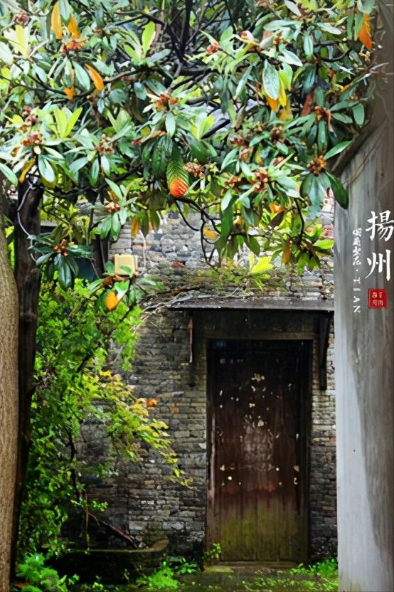 江苏扬州全面介绍,江苏省扬州市有什么区