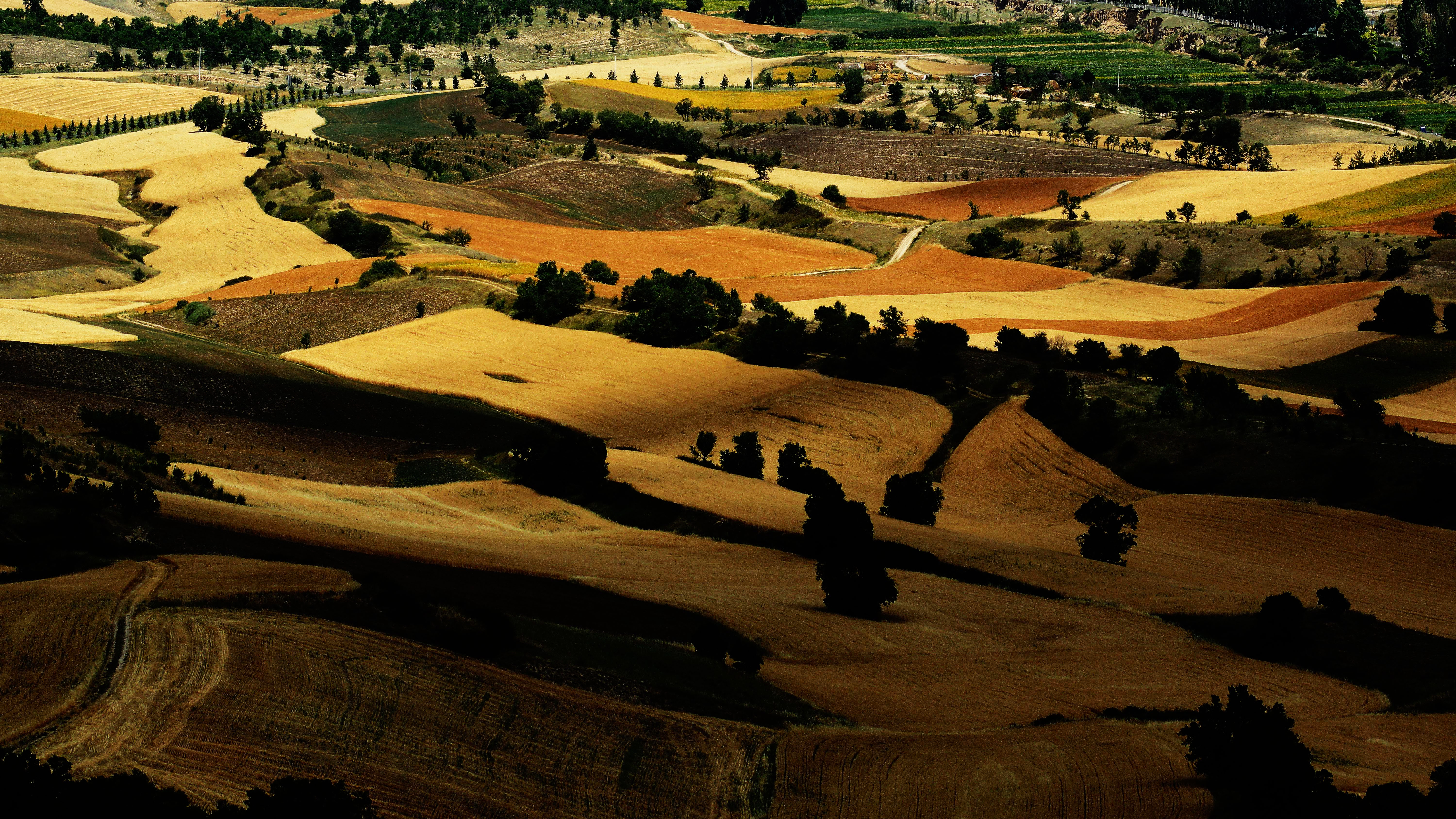 澶╁北楹︽捣,鏄熺┖涓嬬殑缁濈編绋荤敯姊甸珮