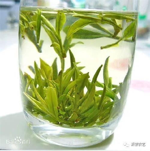 鉴赏茶叶礼盒,茶叶购买鉴赏指南