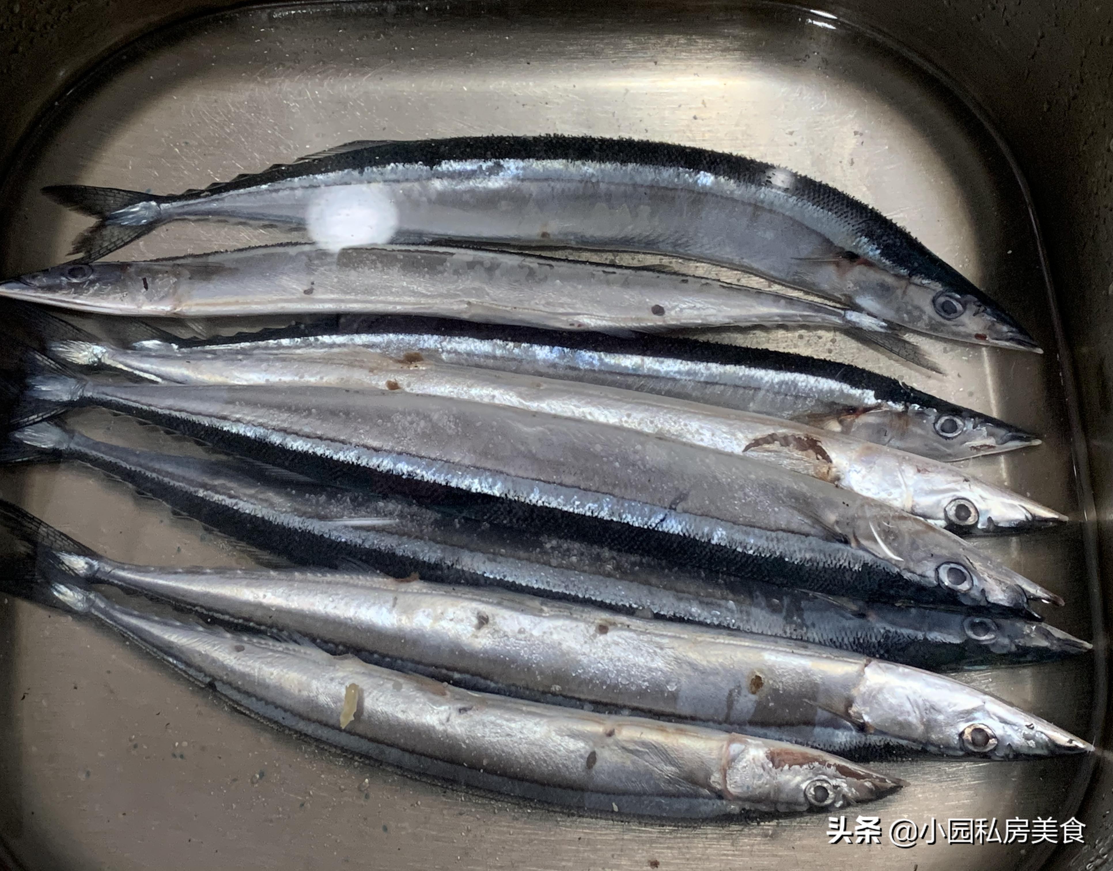 香煎秋刀鱼干煎教程,香煎秋刀鱼视频