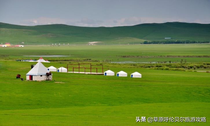 八月份呼伦贝尔还有草吗,呼伦贝尔草原草绿了吗