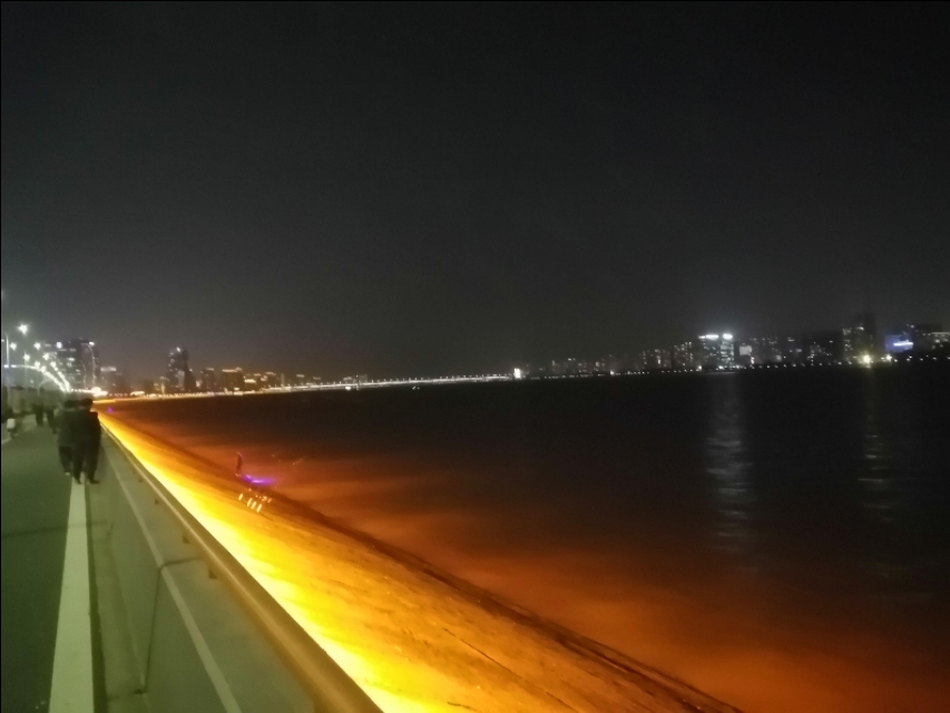 单身狗真是太可怕,单身狗最大的悲哀是什么