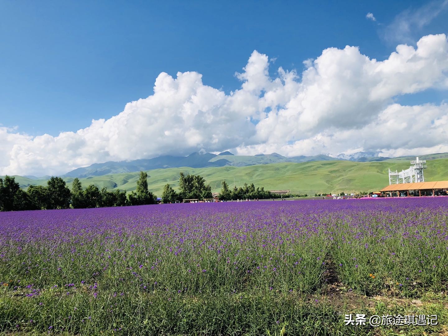 去了北疆还要去南疆吗,现在去南疆还是北疆好
