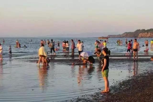 收藏！中秋有大潮来看大连最全赶海地图