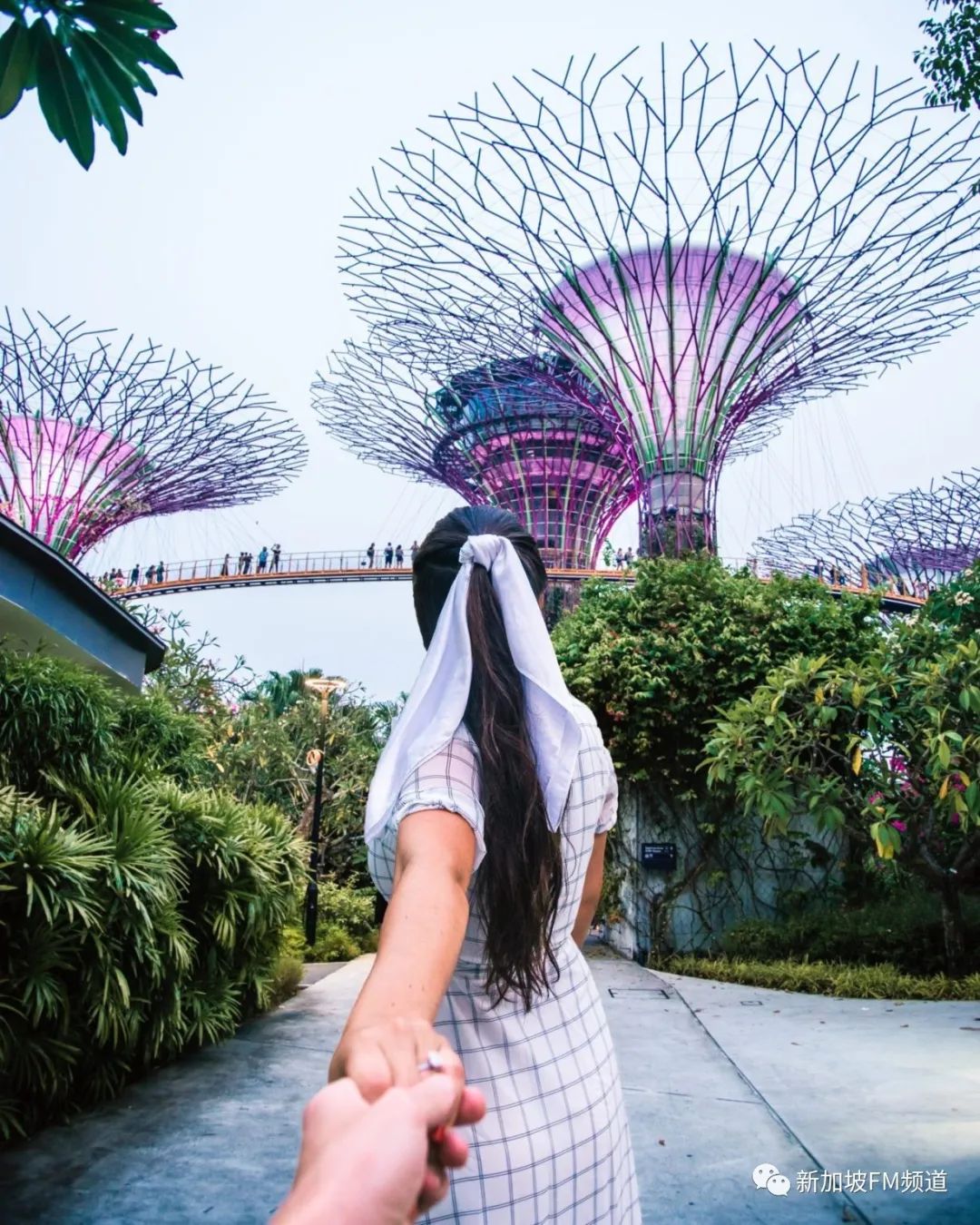 新加坡网红拍照店,新加坡网红点如何拍照