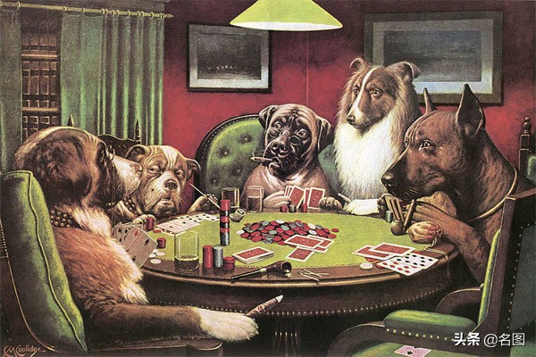 狗玩扑克牌视频,狗玩扑克