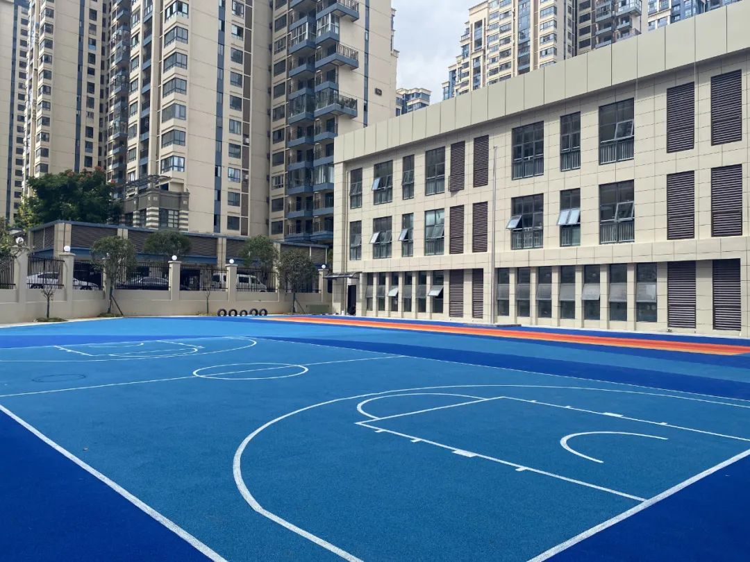 新蒲的学校,新蒲新区附近有什么学校