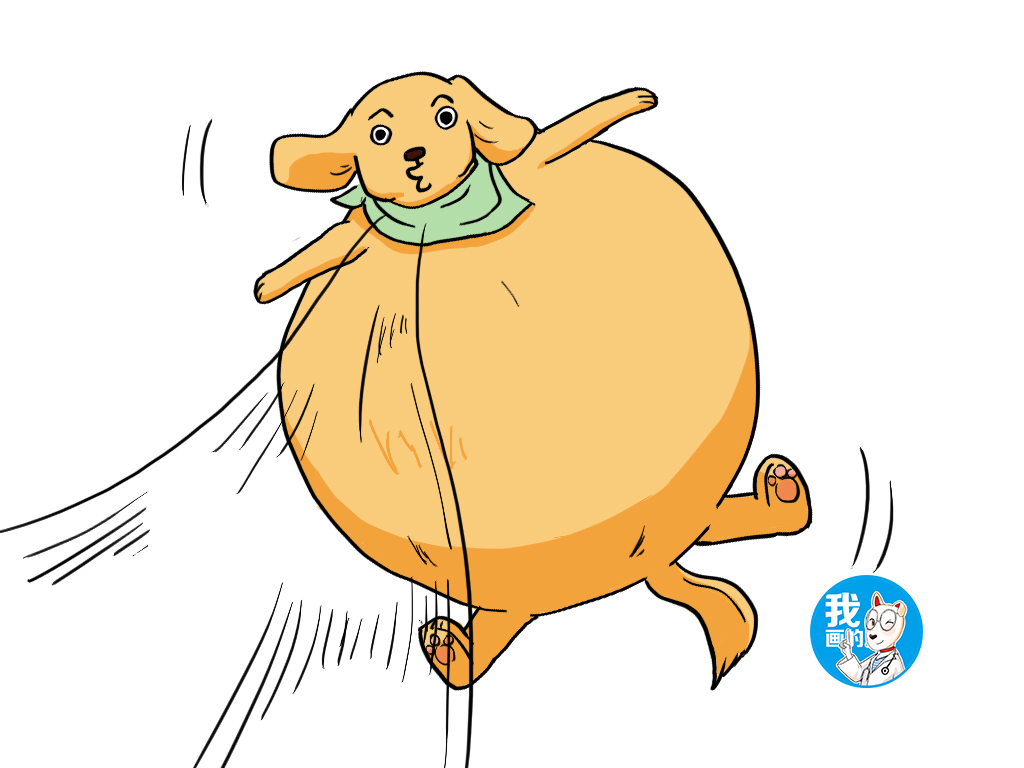 狗狗胃胀气会拉肚子,狗狗胃胀气严重怎么办