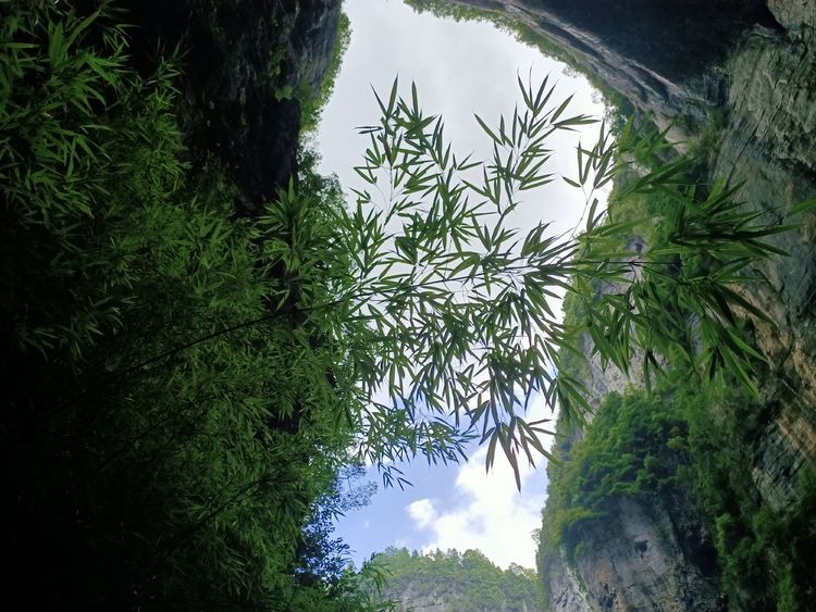 大美武隆仙女山,畅游重庆武隆区仙女山