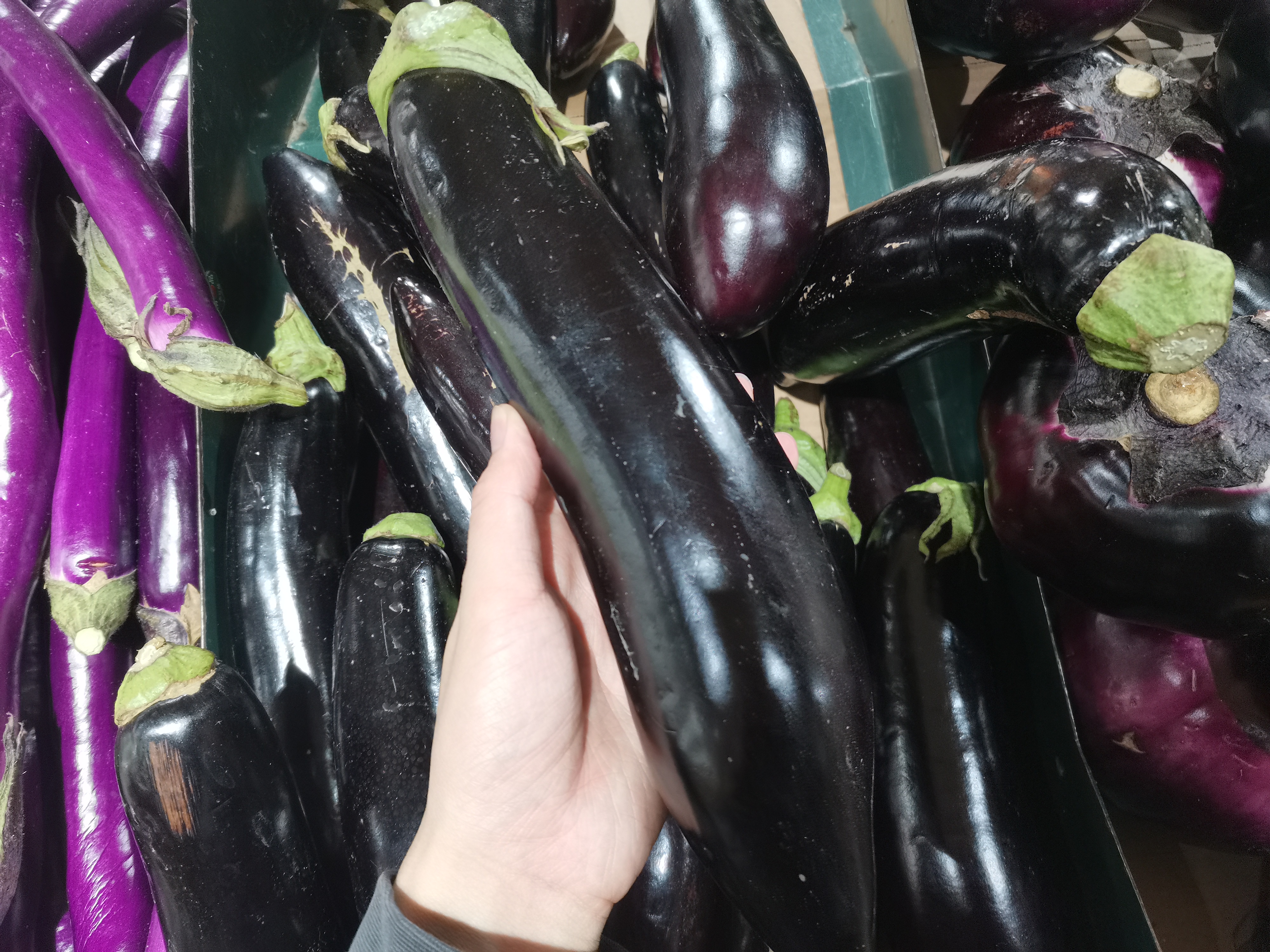 茄子有几种怎么区分,买茄子颜色深好还是浅好