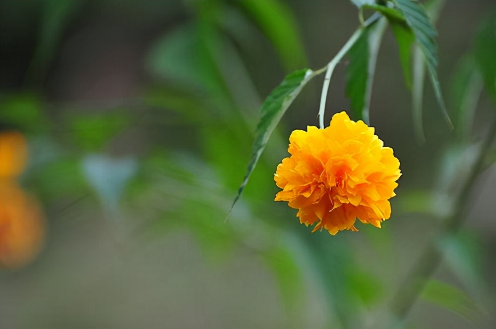 当一个人开始疏远说明什么,当一个人渐渐疏远你