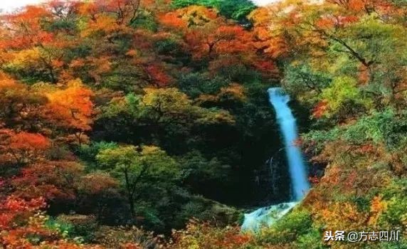 四川改革开放四十周年大事记,四川四十年改革开放对比图