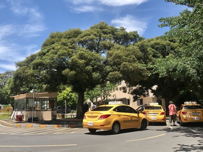 韩国考驾照流程视频,韩国考驾照最简单的方法