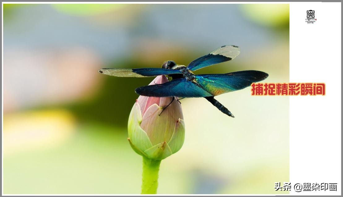 怎么拍摄人物小品,如何拍好一个小品